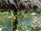 fish ao nang