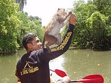 Kayak Thailand, also good is Koh Lao Liang