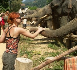 elephant trek thailand khao sok