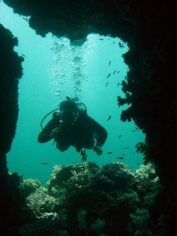 dive koh haa