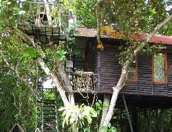 treehouse resort