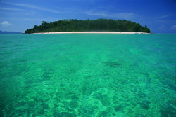 bamboo island