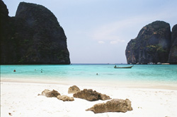 maya bay