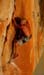 steve_on_orange_wall